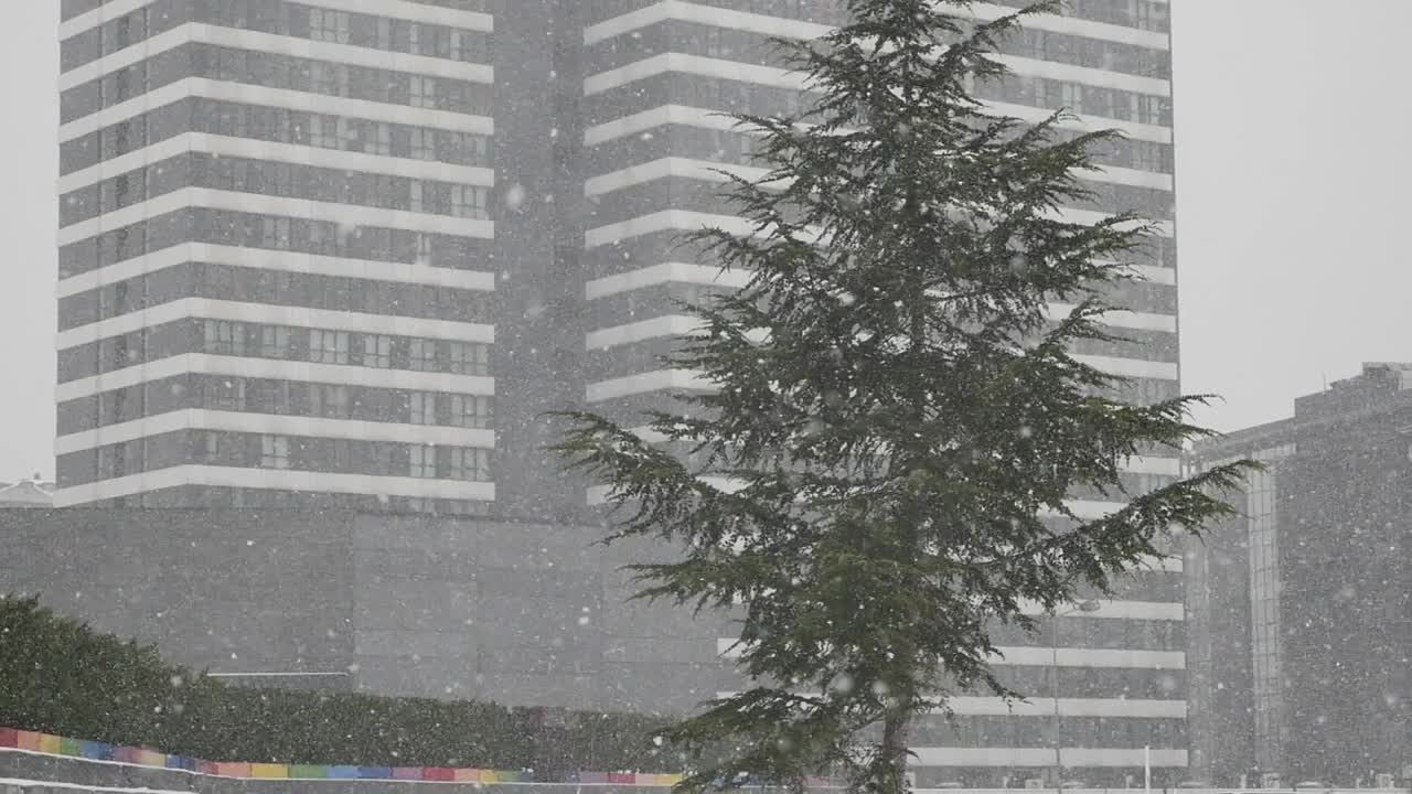 아파트 건물 과 나무 가 있는 눈 인 도시 풍경