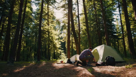 camping in the forest