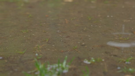 gotas de lluvia cayendo en un estanque de primer plano 4k