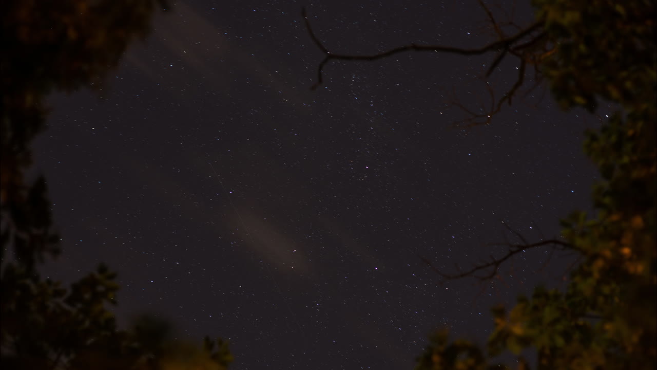 실루엣이 있는 나뭇가지 뒤에서 시간이 지남에 따라 회전하는 아름다운 별이 빛나는 밤하늘의 저속