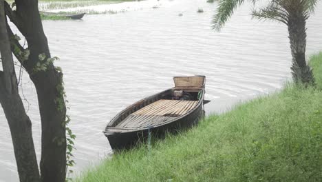 Wunderschöne-Landschaft-Eines-Bootes,-Das-Unter-Einem-Baum-Schwimmt