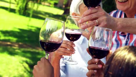 familia brindando con copas de vino en el parque
