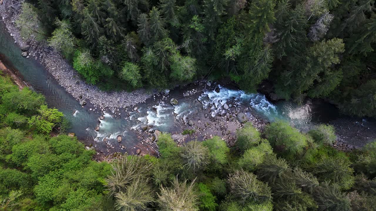 hermosa fotografía aérea de un río de flujo rápido en el bosque de hoja perenne en carbonado, estado de washington