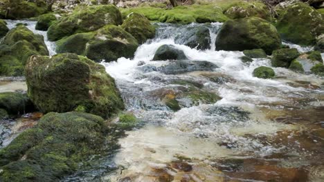 izvir bistrice the natural source of bohinj river. the stream flowing through the bohinjska bistrica river gets its water from the lower bohinj mountains.