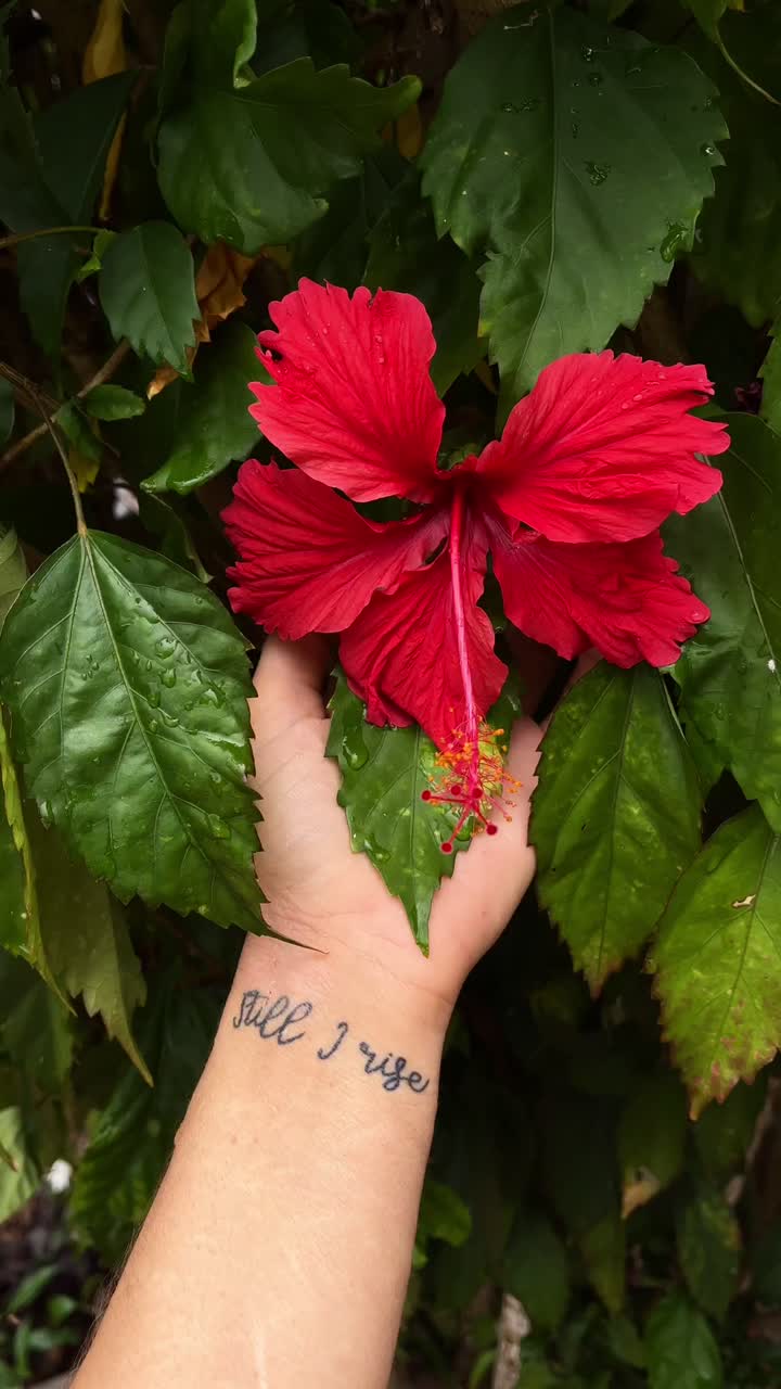 Hand holding red hibiscus flower with 'Still I Rise' tattoo