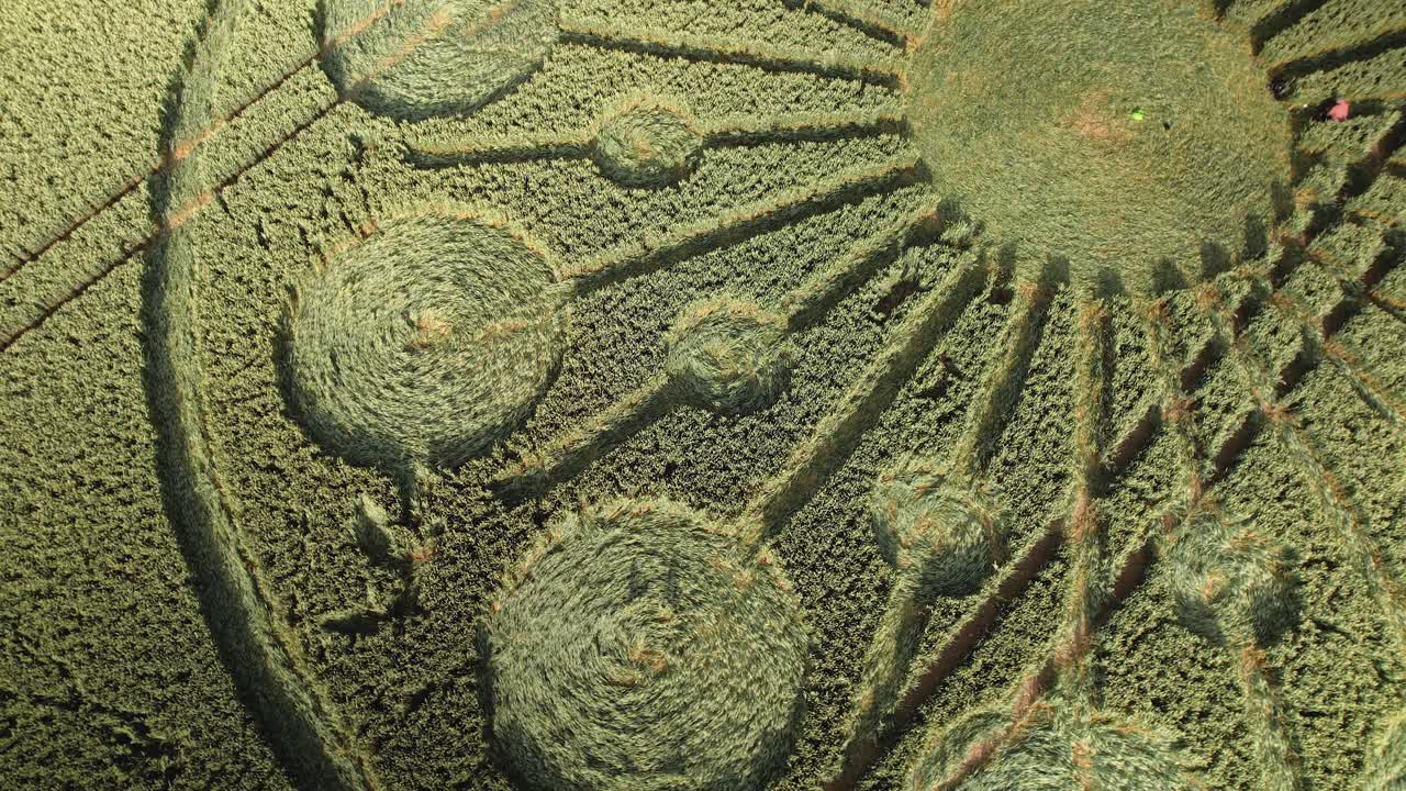 Crop Formation In Wheat Field In Owslebury, England - Drone Shot