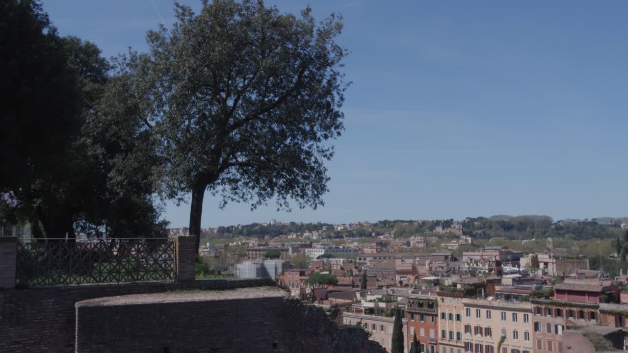 Vista panoramica del paesaggio urbano di Roma con albero e cielo azzurro