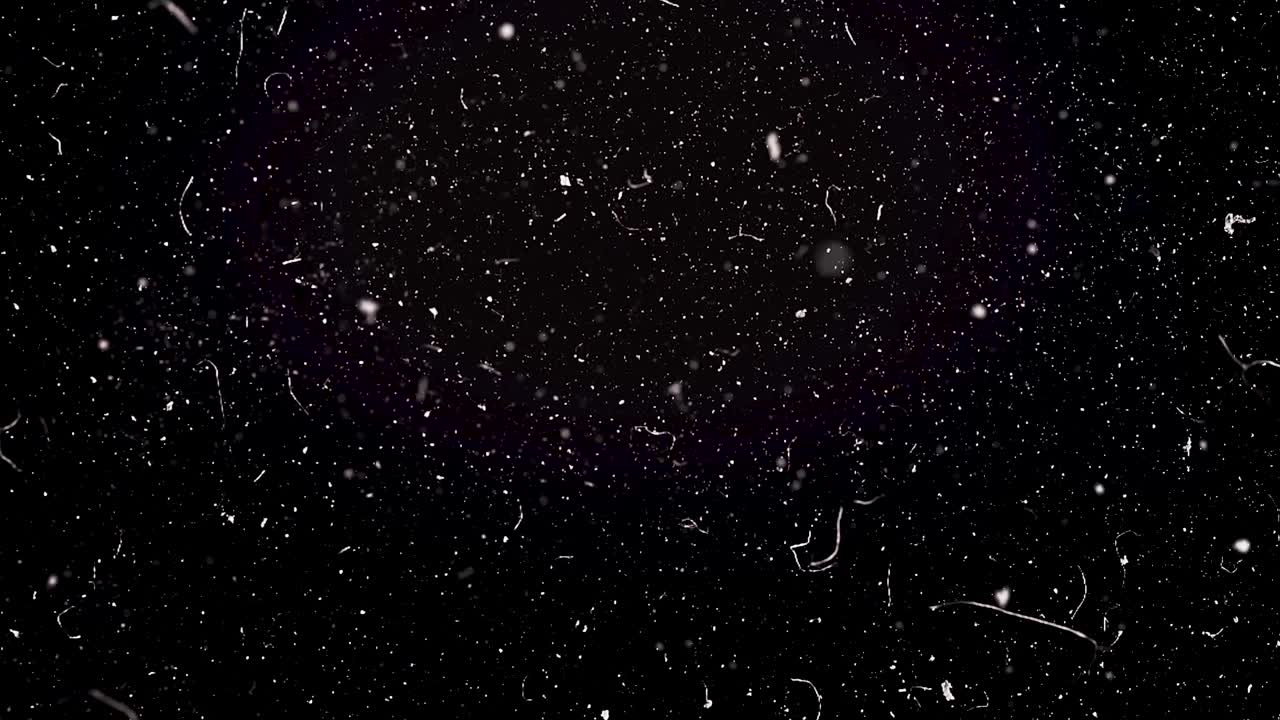 ruido de la imagen y textura del polvo