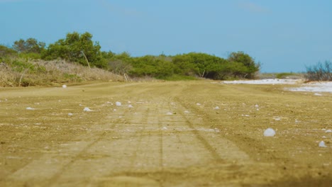 saltwater foam rolling by the dirt road near the ocean in kralendijk, bonaire