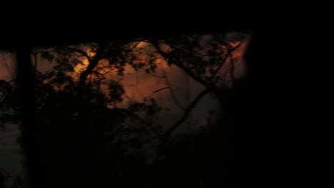 orange clouds during african sunset - viewed through bush from safari vehicle