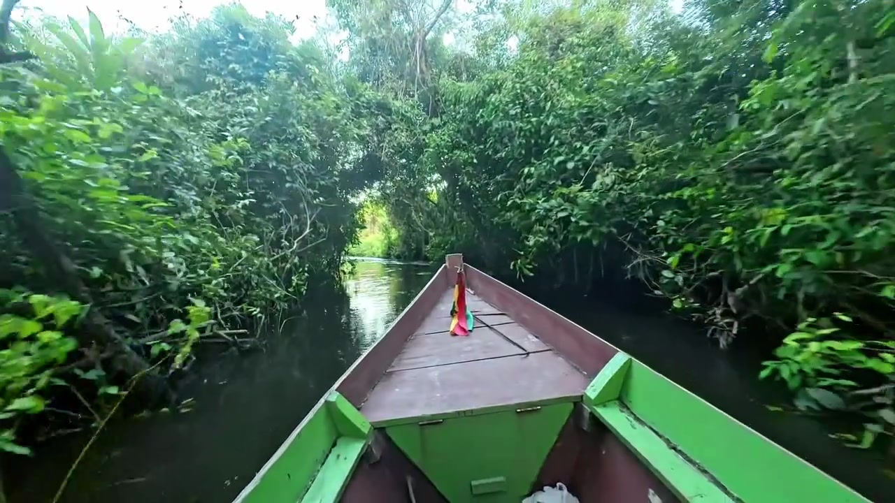 Amazon Rainforest Boat Ride in Pampas de Yacuma, Bolivia - Jungle River Exploration