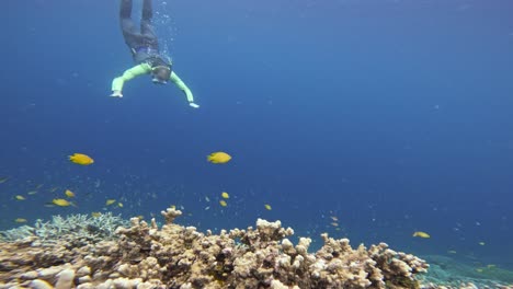 a lone pro freediver with neon yellow fins explores the breathtaking coral reefs