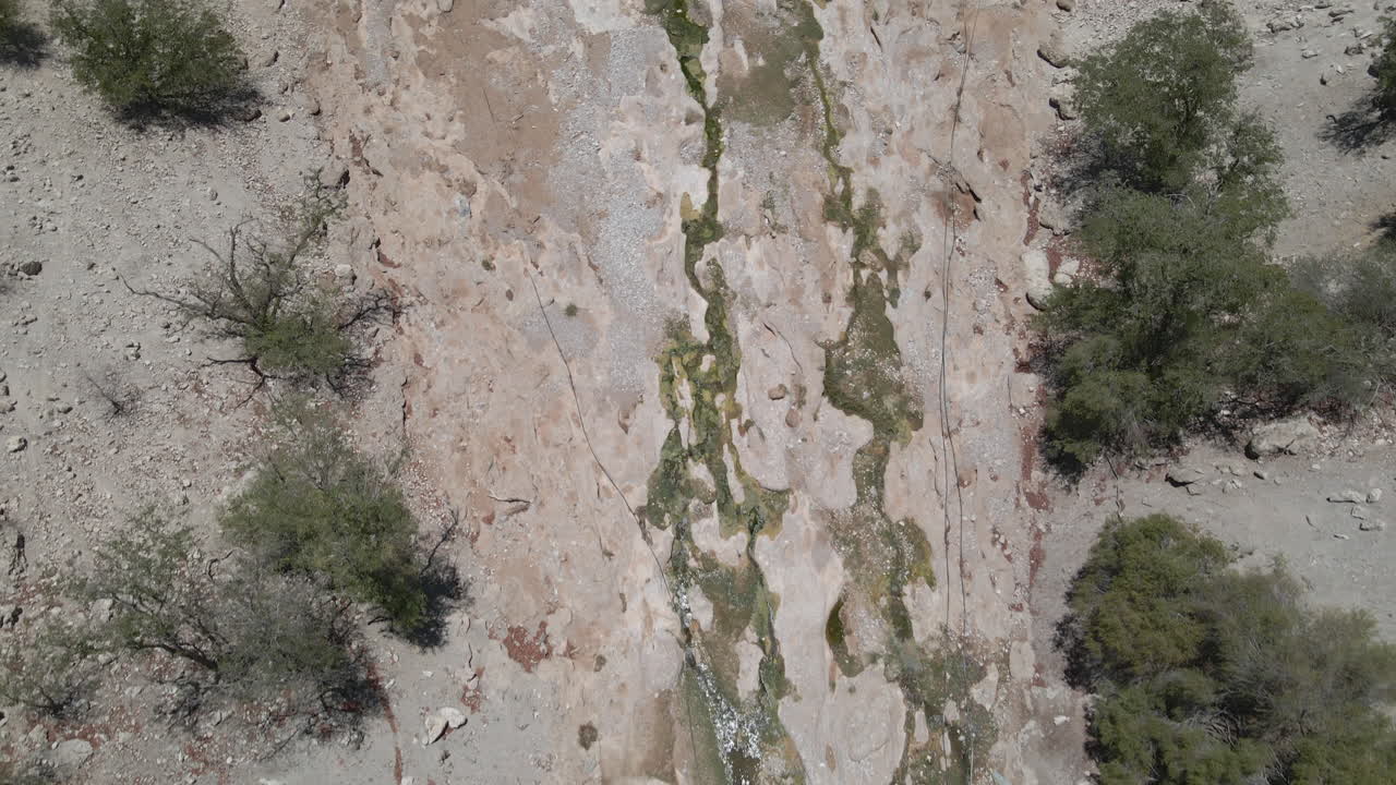 4K drone footage flying over a remote oasis in the Namibian desert, revealing vibrant greenery surrounded by arid landscapes and dramatic dry rocks.