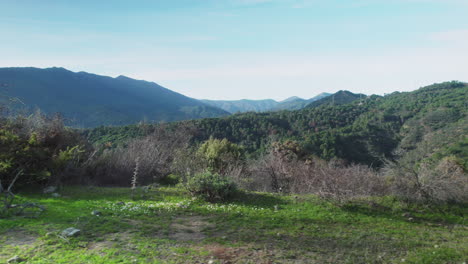 Moving-sideways-on-the-hills-of-Sierra-de-las-Nieves,-Malaga,-Spain