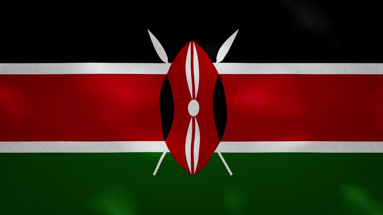 케냐 발의 밀집된 직물 파동, 배경 루프