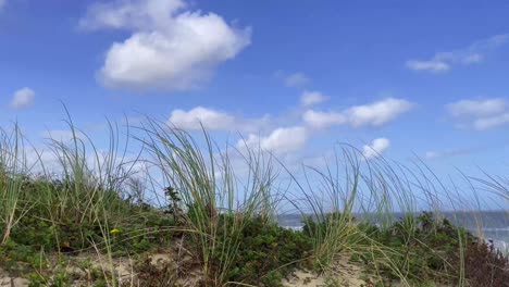 irish beach sand dunes and blue sky