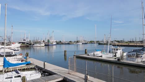 Shrimp-Boats-and-Seagulls-in-the-Marina