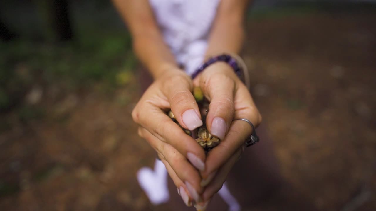 mujer sosteniendo una flor en sus manos, de pie en una jungla