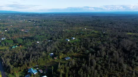 Aerial-wonderful-green-lush-vegetation-forest-and-houses-on-the-big-island-of-Hawaii,-USA