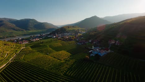 tiro fpv de alta energía volando a través de los árboles y un cartel que revela la hermosa puesta de sol de otoño coloreando la ciudad de spitz y los viñedos circundantes durante la temporada de otoño