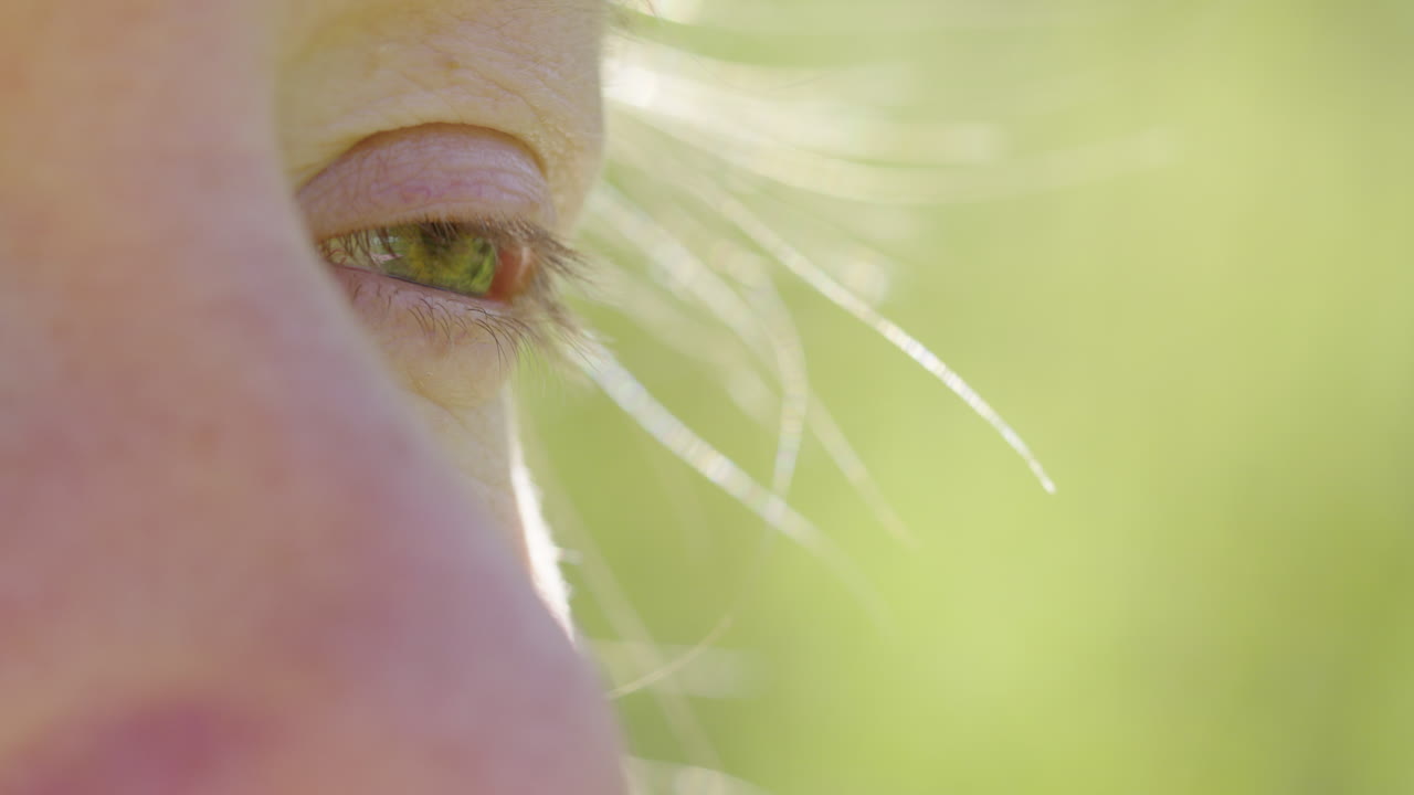 Closeup of calm woman opening eye after reflective guided outdoor meditation