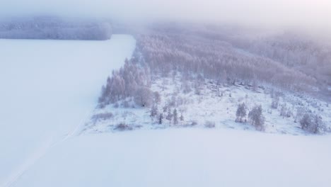 Sumergirse-En-Las-Nubes-Sobre-Un-Bosque-Cubierto-De-Nieve-Helada