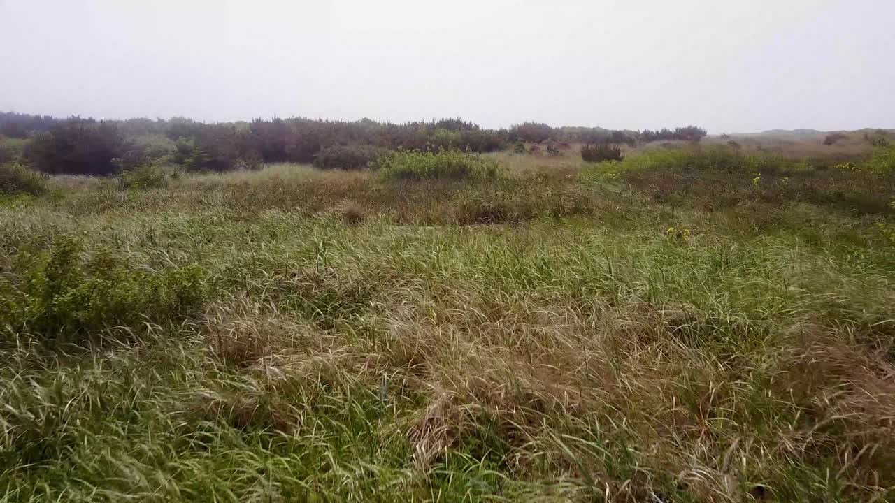 The beautiful grasslands and wildflowers of Washington - low aerial
