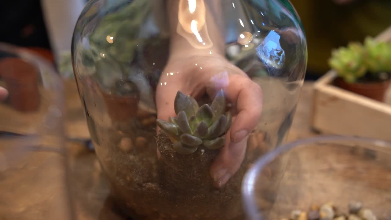 Creazione di un terrario di vetro con piante succulente a mano a Marsiglia, Francia, primo piano.