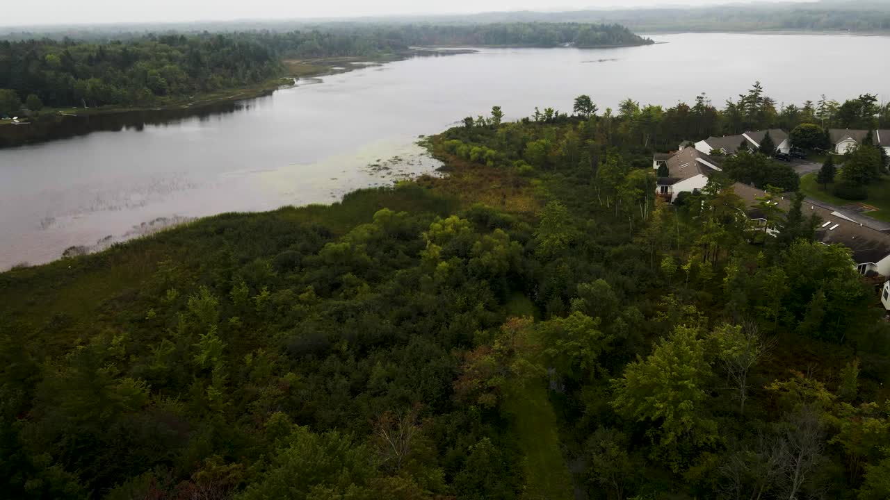 hermosos verdes de frondosos árboles cerca de un lago en muskegon