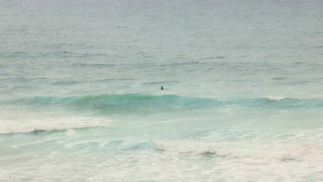 hand-held shot of 2 surfers sitting waiting on waves to catch at fistral beach, newquay