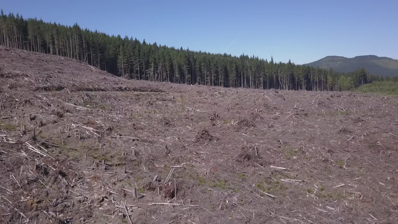Low slow flight over clearcut logging site