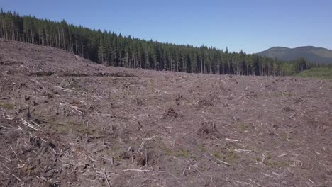 Low-slow-flight-over-clearcut-logging-site