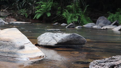 tranquil scene with stones on riverbed. static