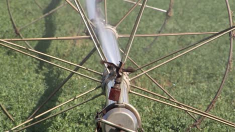 close up of irrigation sprinkler in southern california, usa