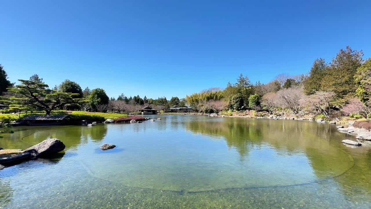 Fredelig japansk hagedam under en klar blå himmel