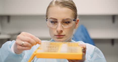 scientist is looking at plates with bacteria at laboratory