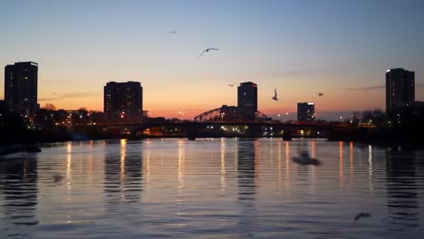 as the sun sets, the city skyline glimmers over the calm river. birds soar overhead, creating a peaceful atmosphere filled with warm colors and urban silhouettes.