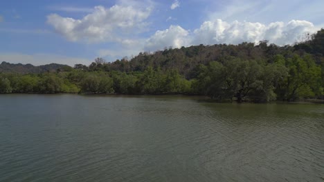 Manglares-Río-Vista-Exuberante-Vegetación-Cielo-Nublado