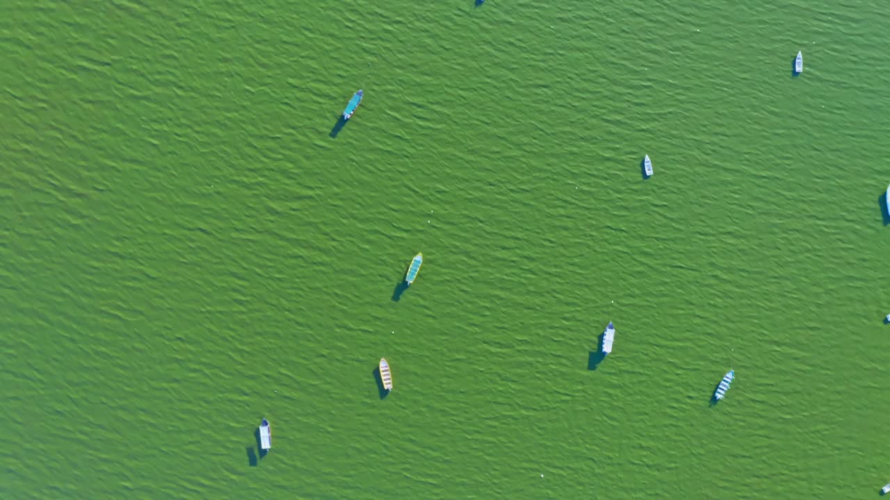 Aerial footage of scattered boats on vibrant green, algae-tinted lake surface, casting dynamic shadows. Clear weather enhances the tranquil and striking composition