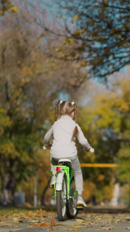 mother and preschooler daughter enjoy sunny day in autumn park. woman in wheelchair and daughter on bicycle spend time together resting actively backside view