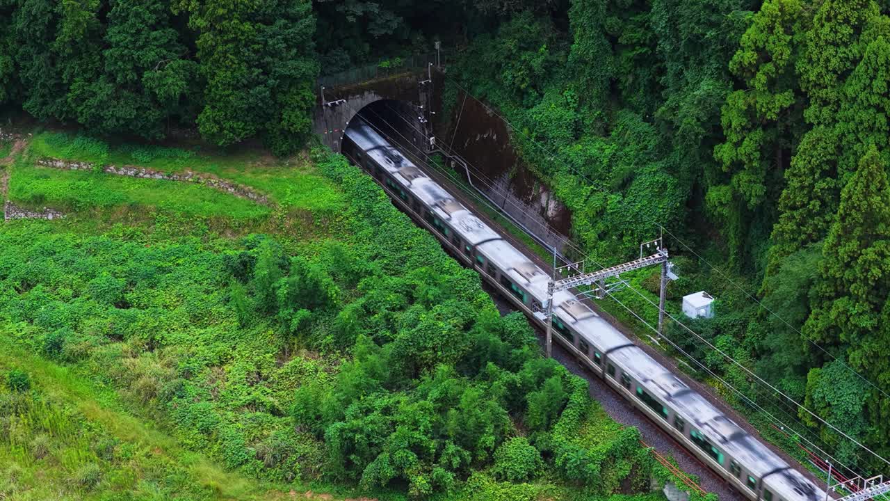 Japanese Train Emerges from Tunnel in Countryside, Green Summer Rural Area