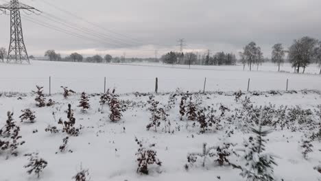 Vista-Aérea-De-Un-Bosque-Nevado-En-El-Norte-De-Alemania