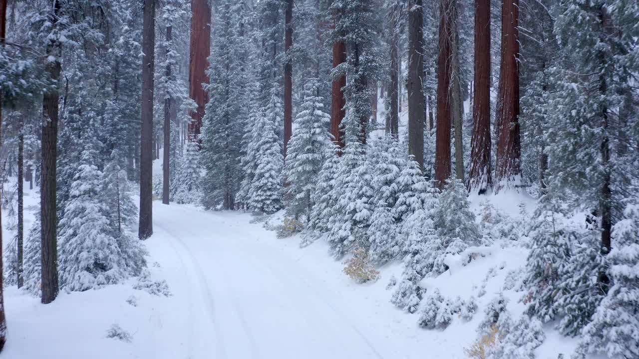 Letecké 4K záběry Národního parku Sequoia pokrytého sněhem 7