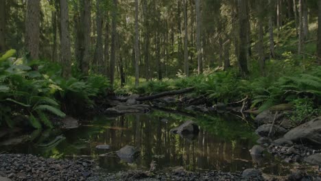 Grüne-Natur