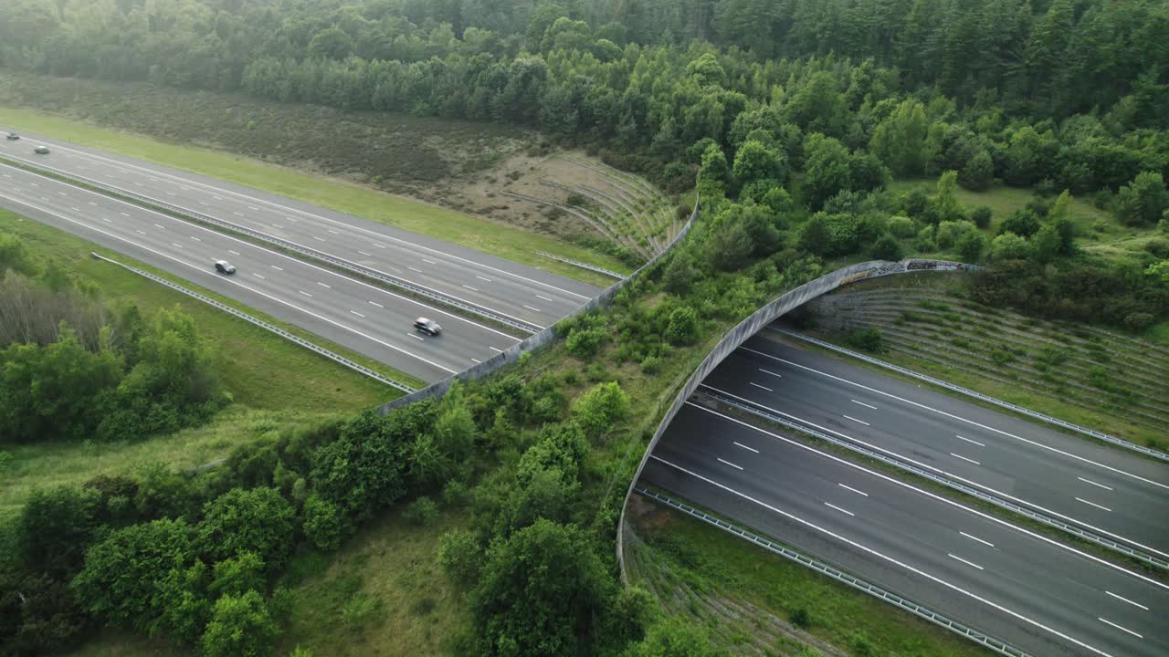 Aerial approach of forest wildlife crossing De Borkeld forming a safe natural corridor for animals to migrate between conservancy areas. Nature reserve infrastructure engineering eco passage