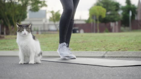 the paw-sonal trainer is watching closely