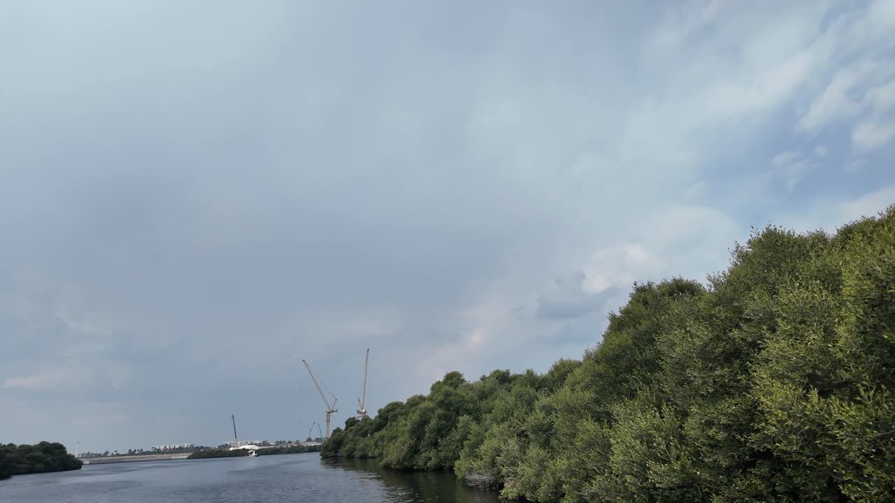 Al Zorah Mangrove in Ajman, UAE, offers a peaceful escape into nature