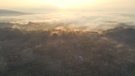 Mist-hanging-over-the-trees-in-a-misty-indonesian-landscape