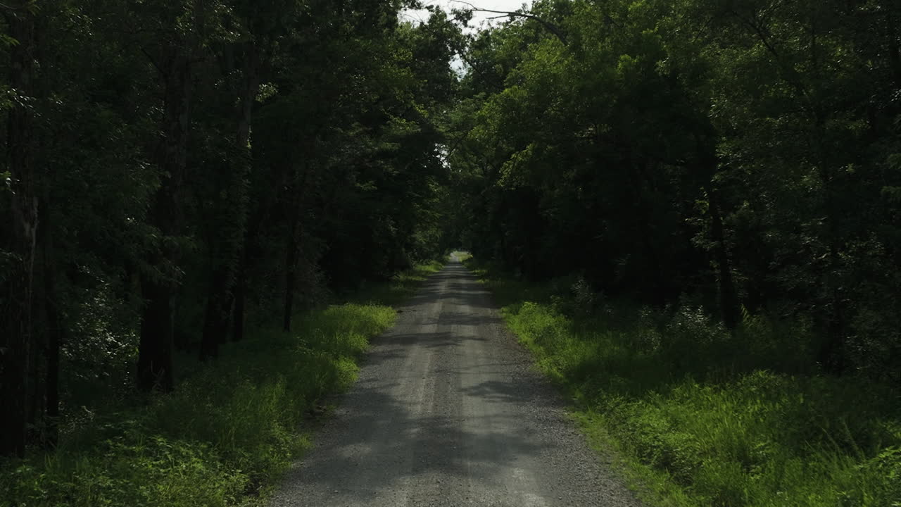 미국 미주리 주 바튼 카운티의 라마르 근처에 있는 울불한 푸른 숲 한가운데에 있는 외로운 도로.
