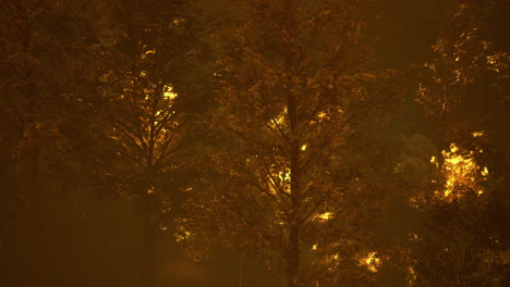 intense wildfire consumes a forest under a smoky orange haze at dusk